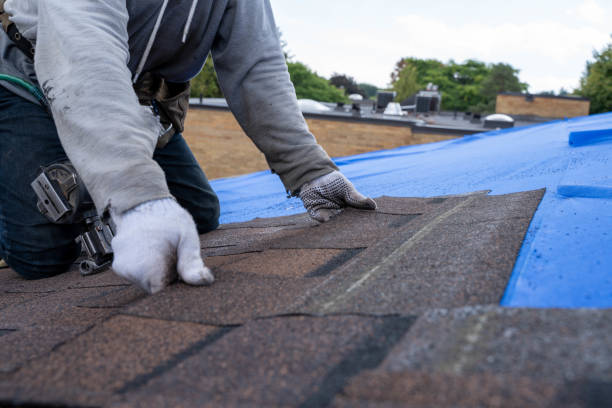 Best Roof Maintenance Services  in Mcalmont, AR