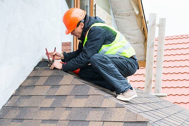 Best Roof Gutter Cleaning  in Mcalmont, AR
