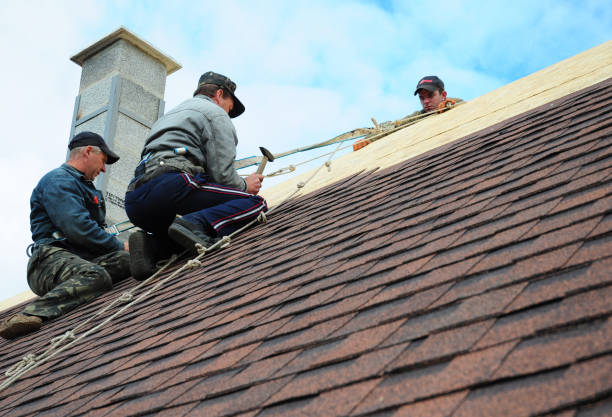 Best Gutter Installation and Roofing  in Mcalmont, AR